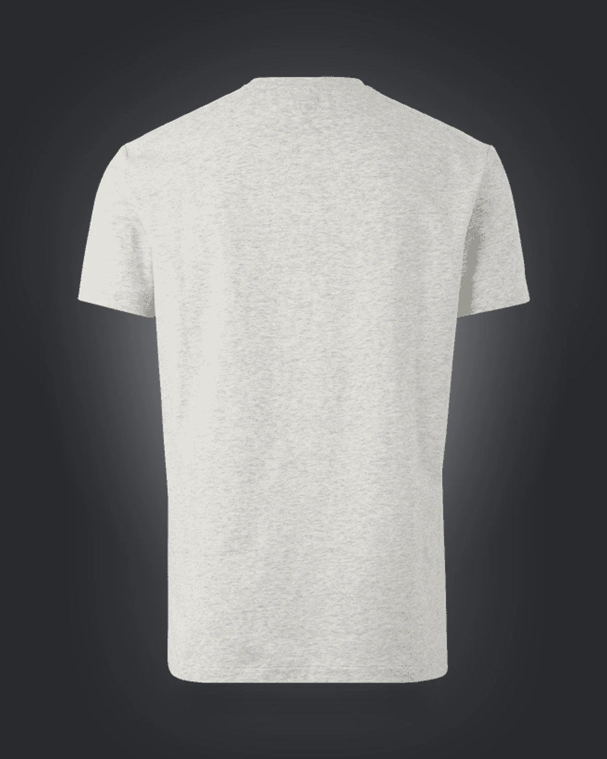 T-Shirt Men OTMSV, 972, Lightgreymelange
