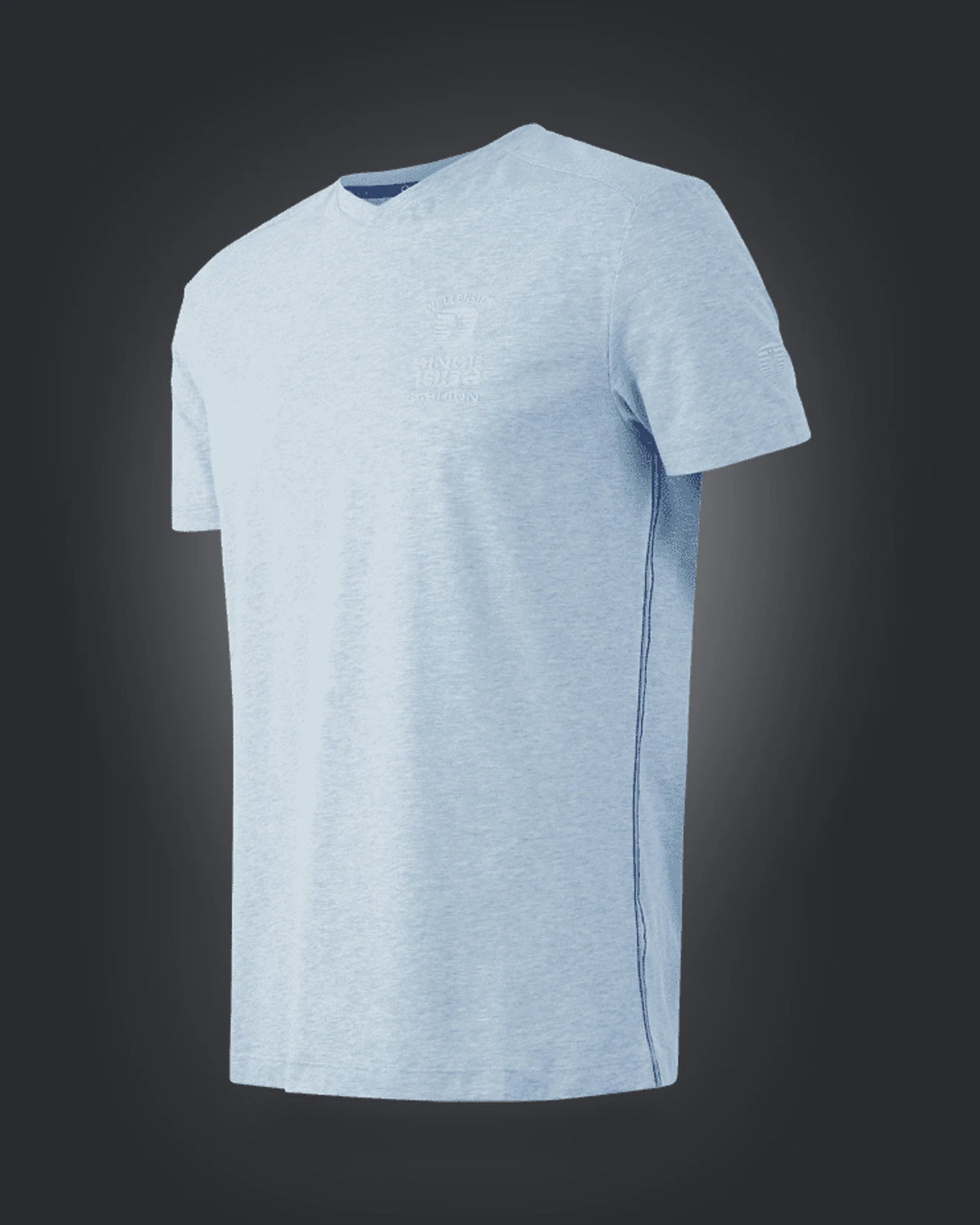 T-Shirt Men OTMSV, 972, Lightbluemelange