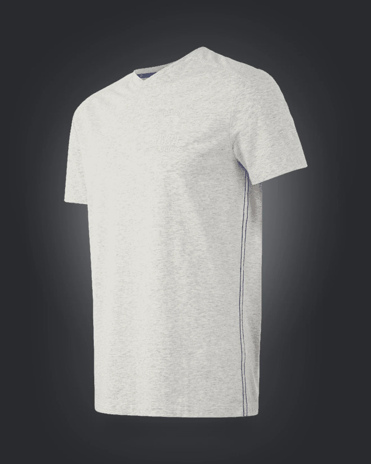 T-Shirt Men OTMSV, 972, Lightgreymelange