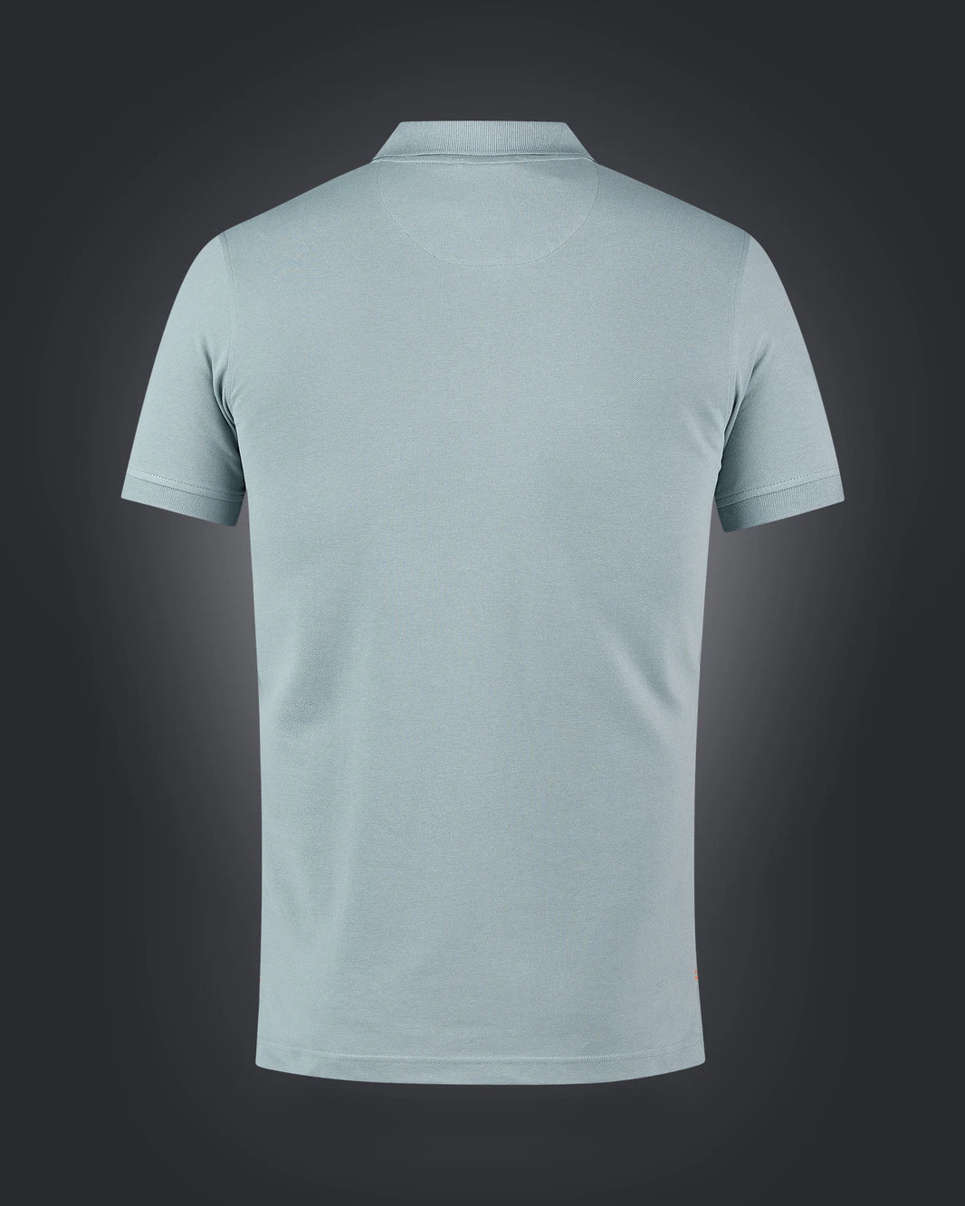 Polo Shirt Sport, 1033, Dustymint