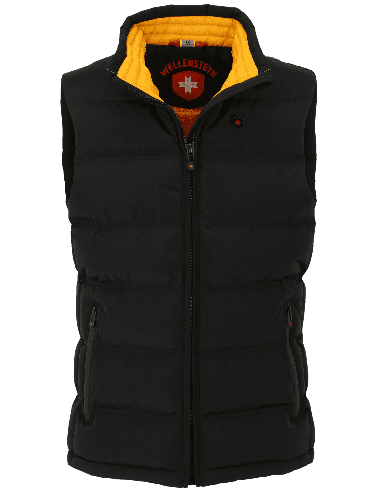 Snowdome Vest Men, PrincessAirTec, Black