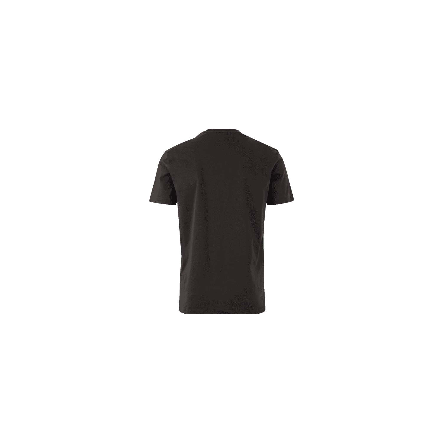 T-Shirt Men PTMSR, 970, Anthrazit