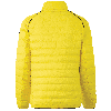 MOL Men, 661, Yellow